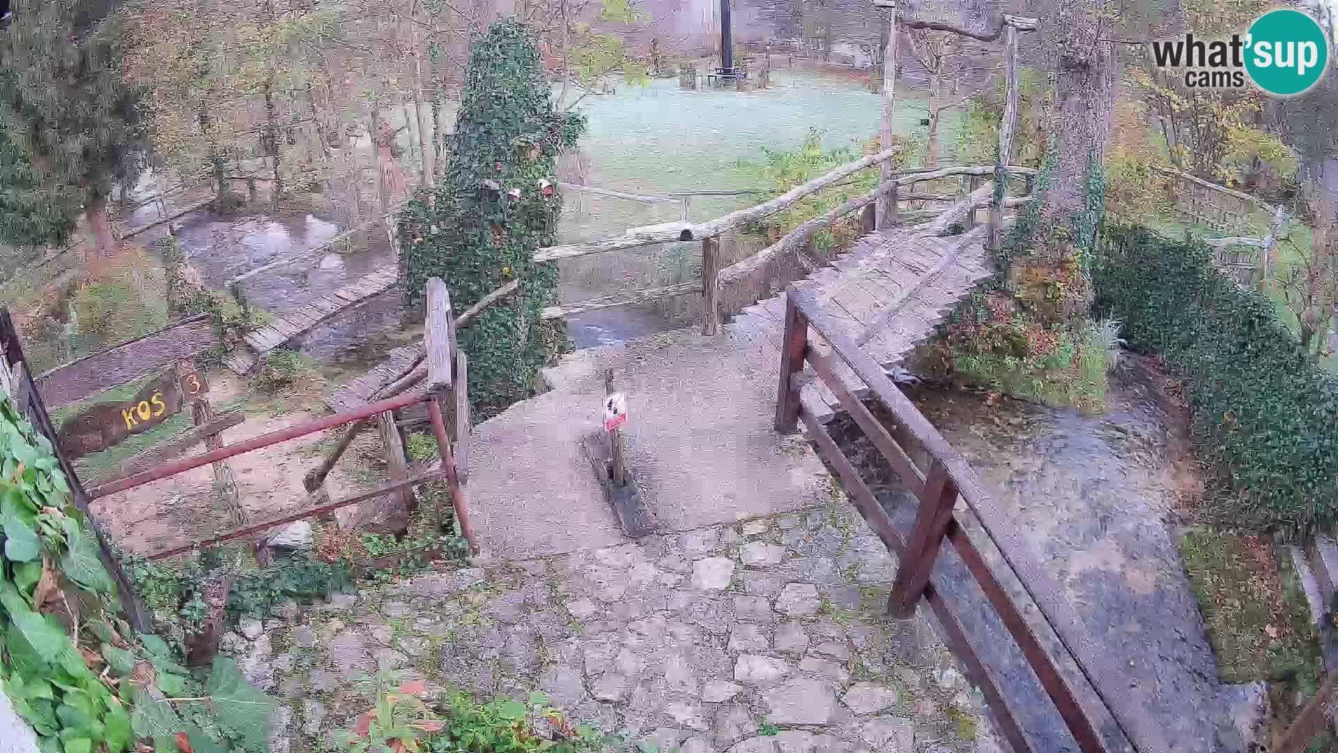 Lacs sur la rivière Slunjčica dans Rastoke