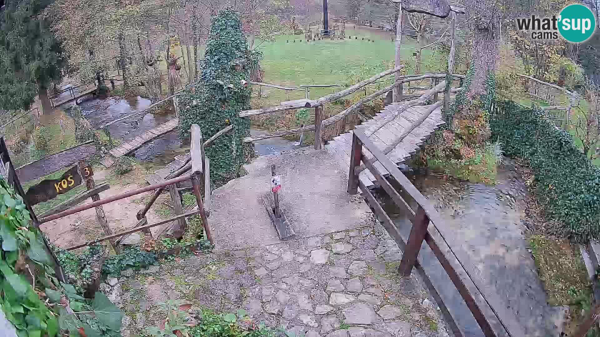 Lakes on the river Slunjčica in Rastoke