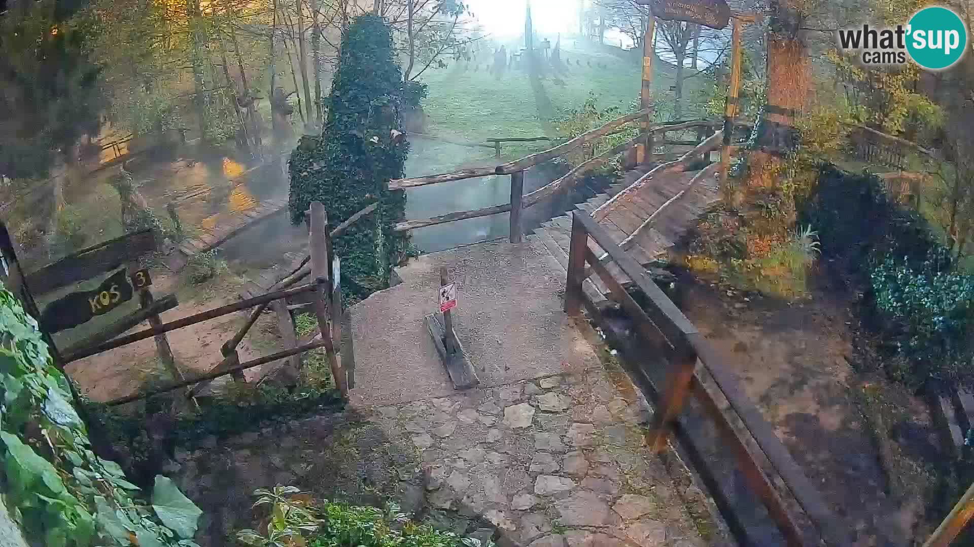 Seen auf dem Fluss Slunjčica in Rastoke