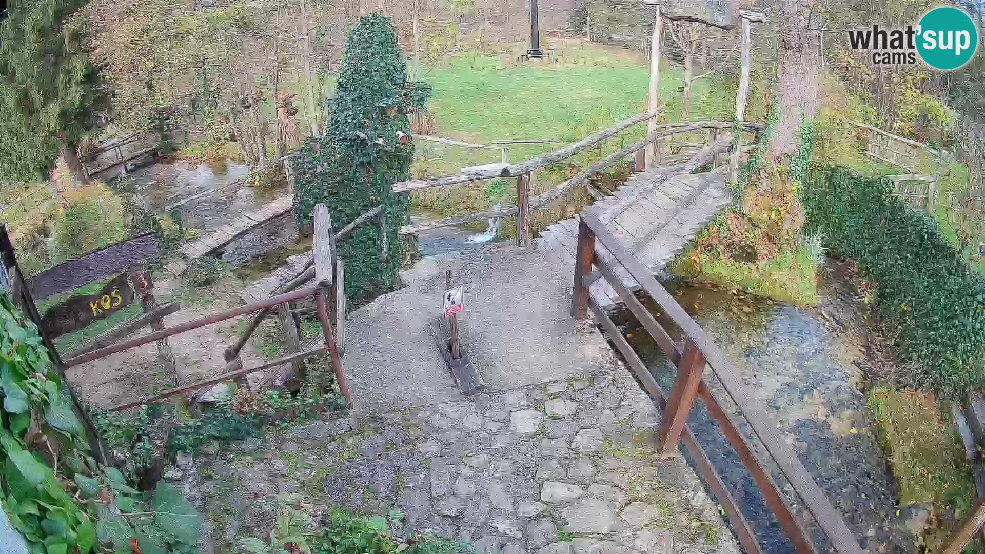 Lacs sur la rivière Slunjčica dans Rastoke