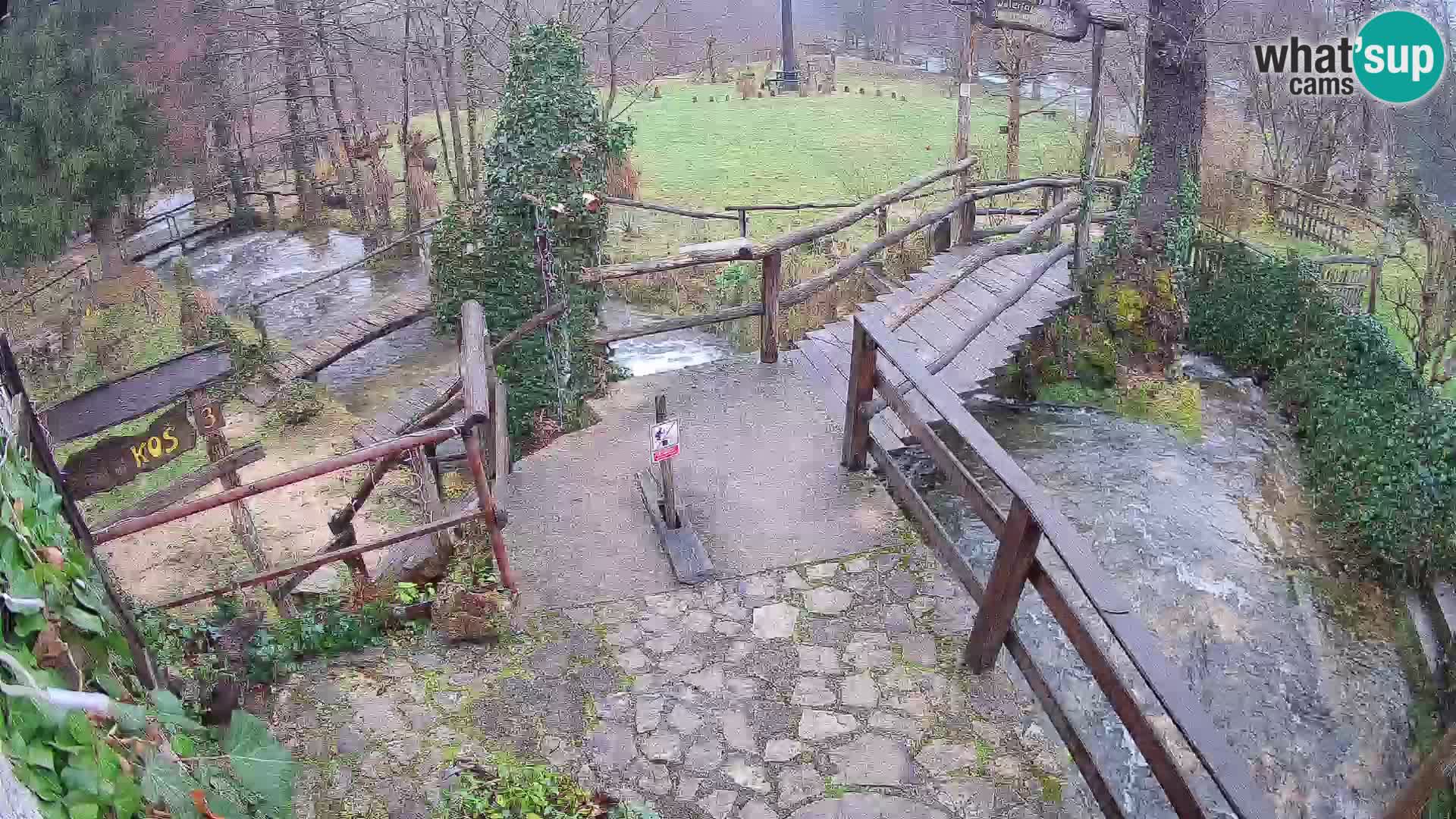 Lakes on the river Slunjčica in Rastoke