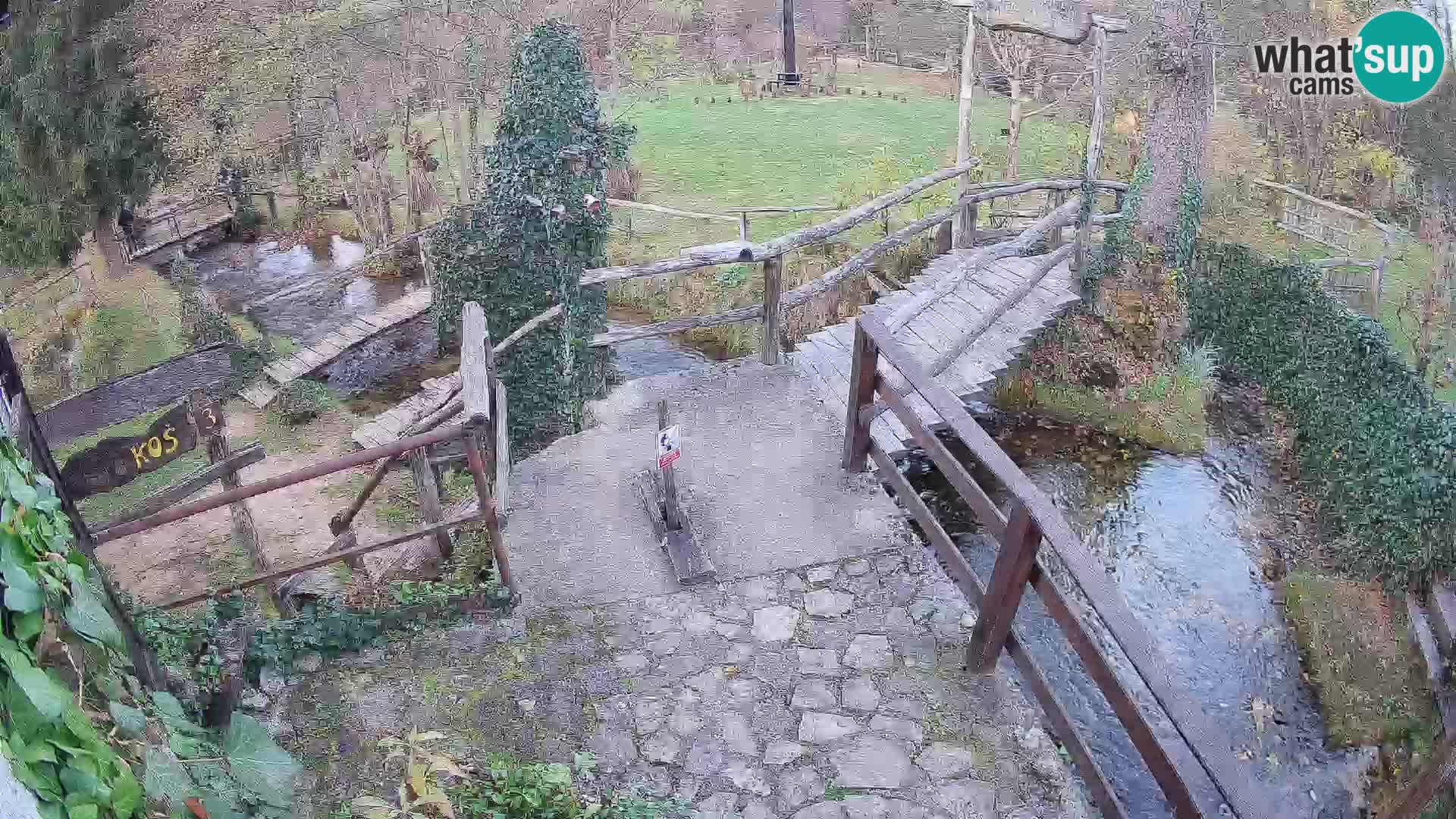 Lacs sur la rivière Slunjčica dans Rastoke