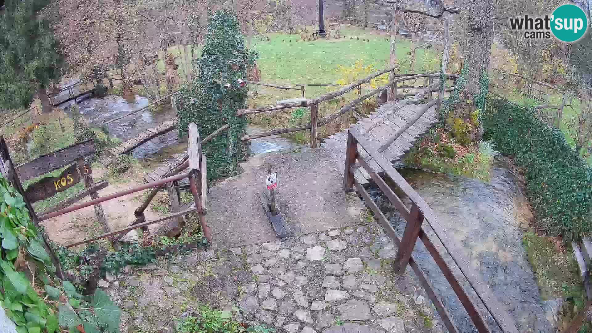 Seen auf dem Fluss Slunjčica in Rastoke