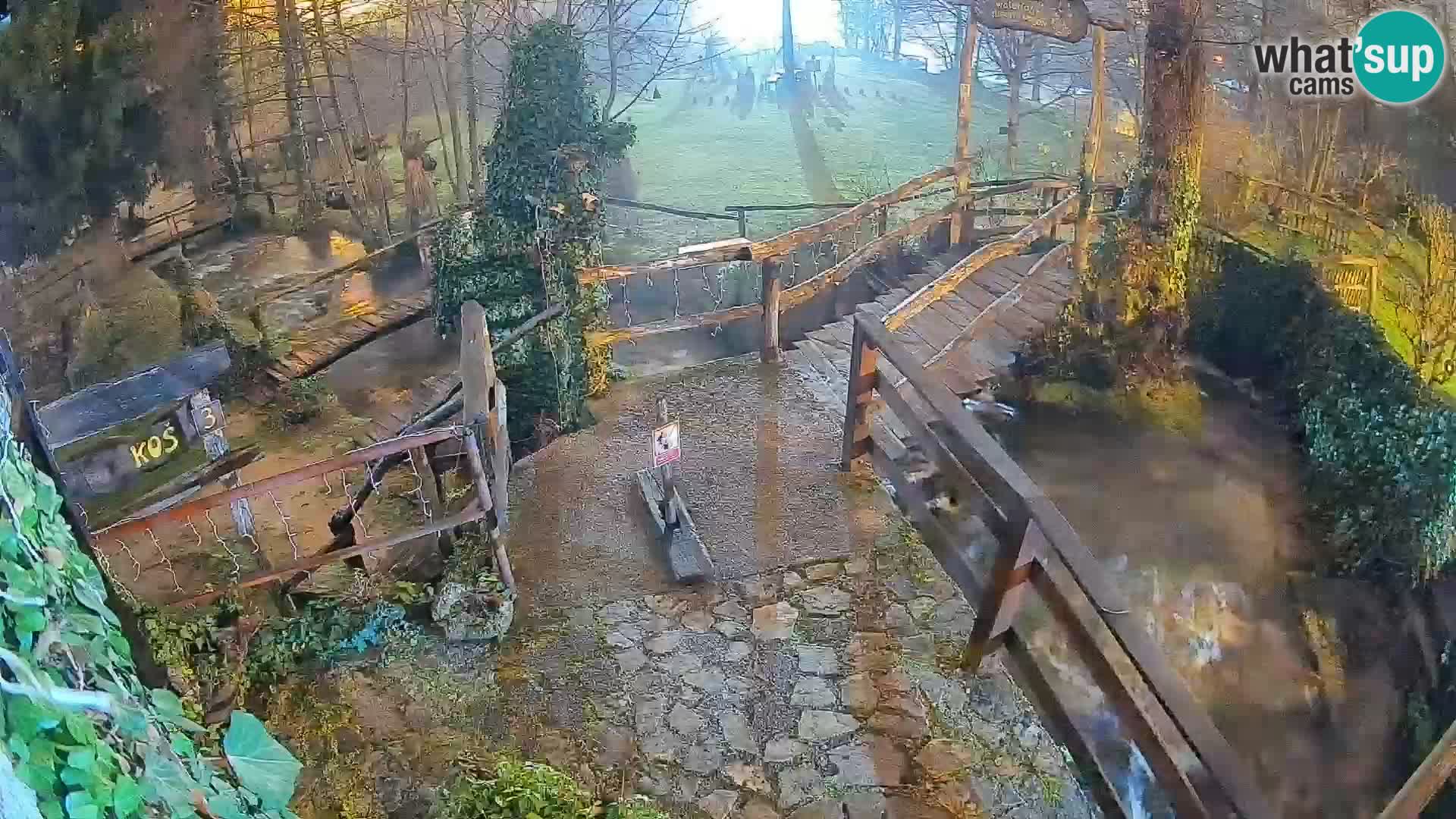 Lakes on the river Slunjčica in Rastoke