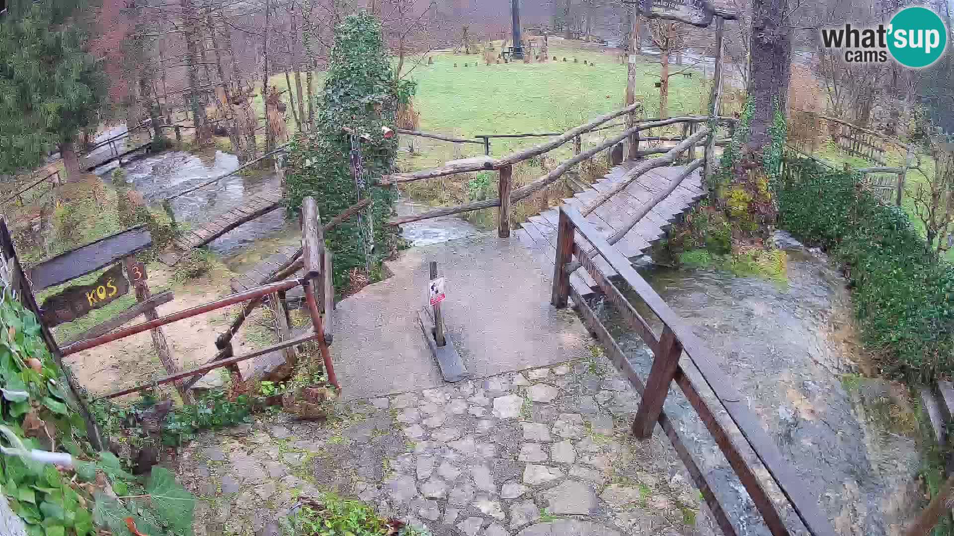 Lacs sur la rivière Slunjčica dans Rastoke