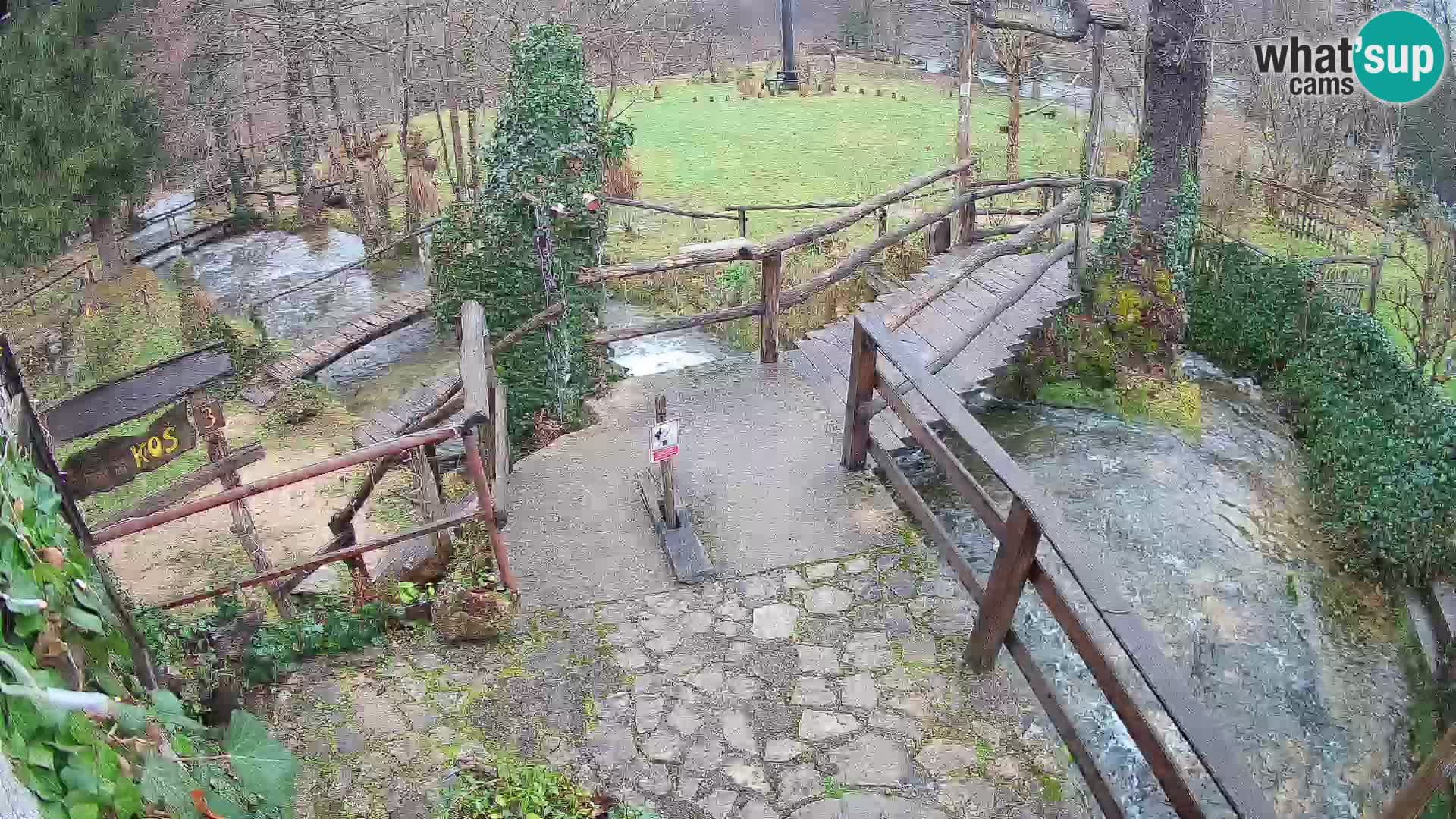 Lakes on the river Slunjčica in Rastoke