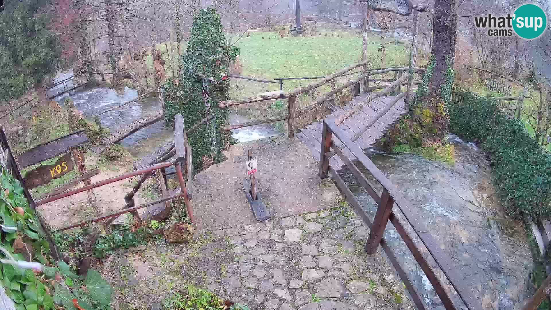 Lacs sur la rivière Slunjčica dans Rastoke