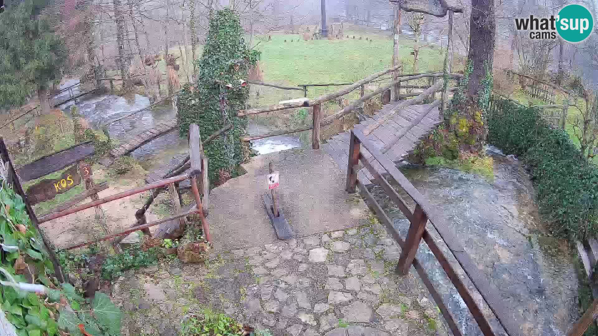 Lacs sur la rivière Slunjčica dans Rastoke