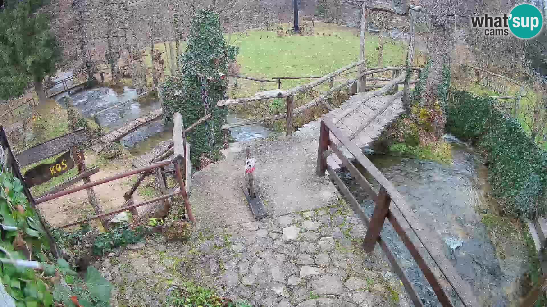 Seen auf dem Fluss Slunjčica in Rastoke
