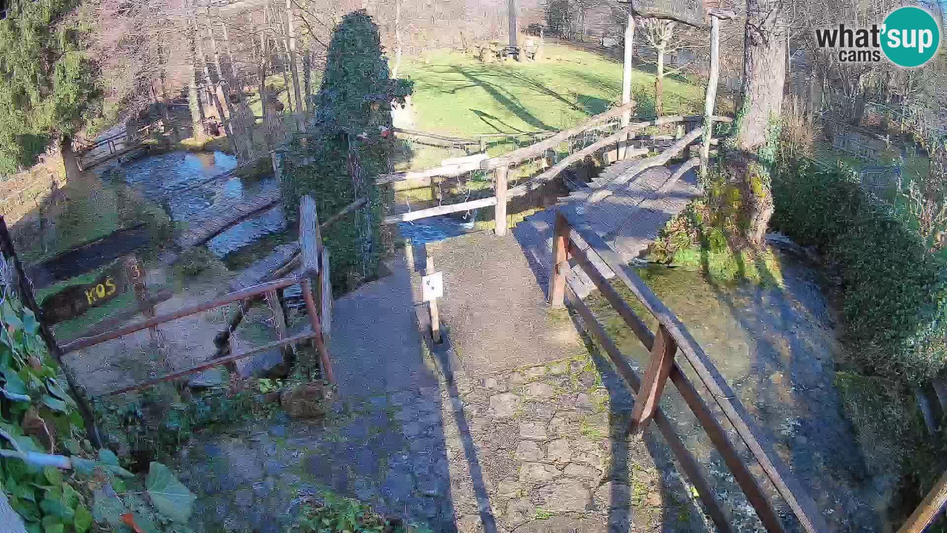 Laghi sul fiume Slunjčica a Rastoke