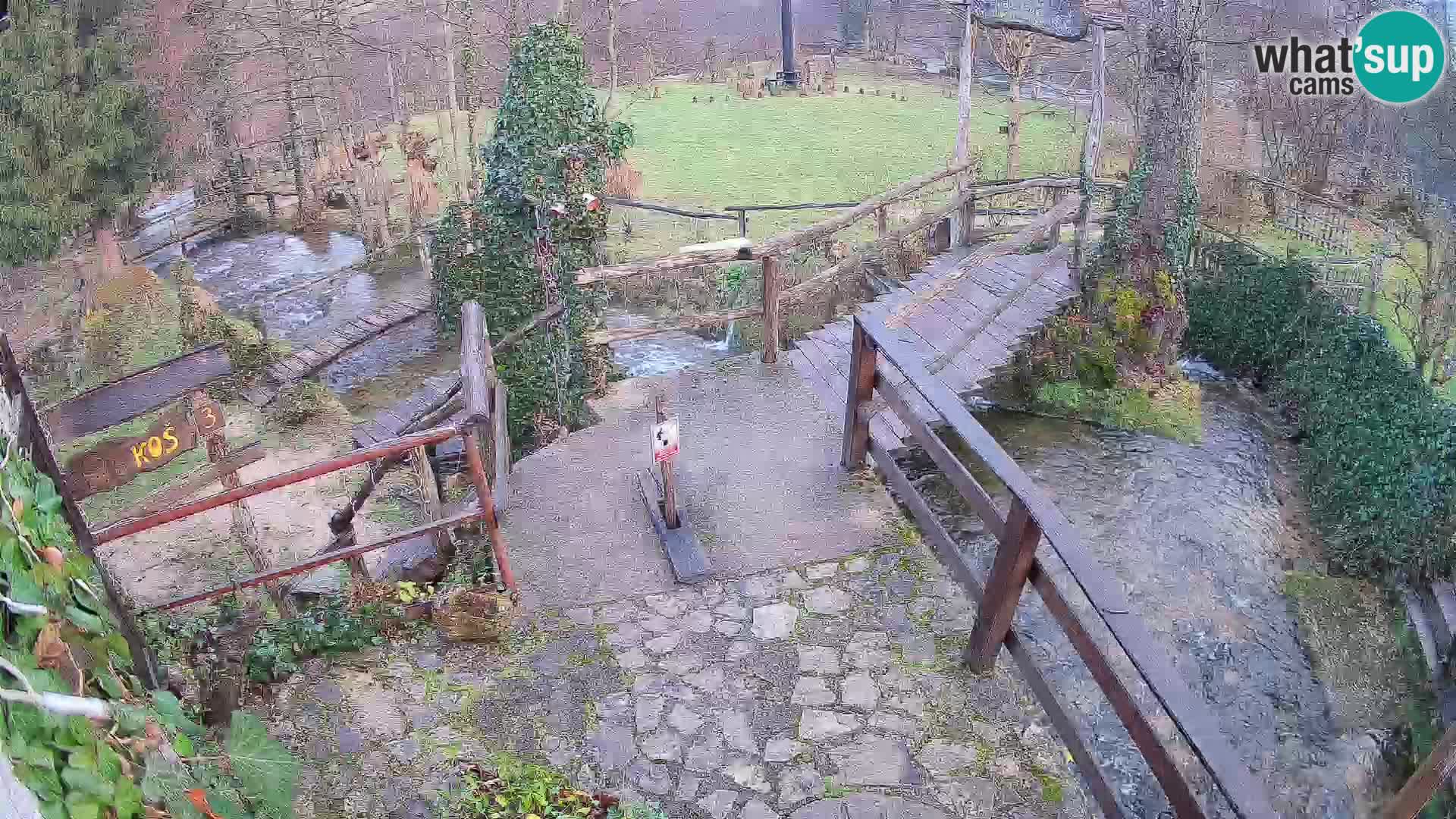 Lakes on the river Slunjčica in Rastoke