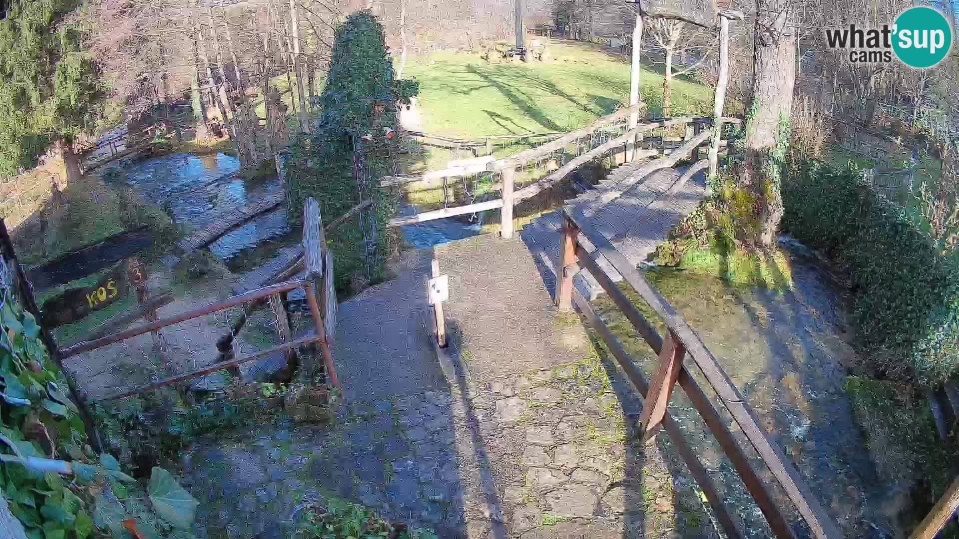 Jezera na reki Slunjčica v Rastokah