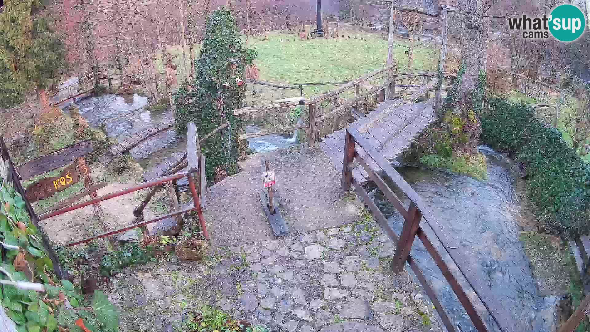 Lakes on the river Slunjčica in Rastoke