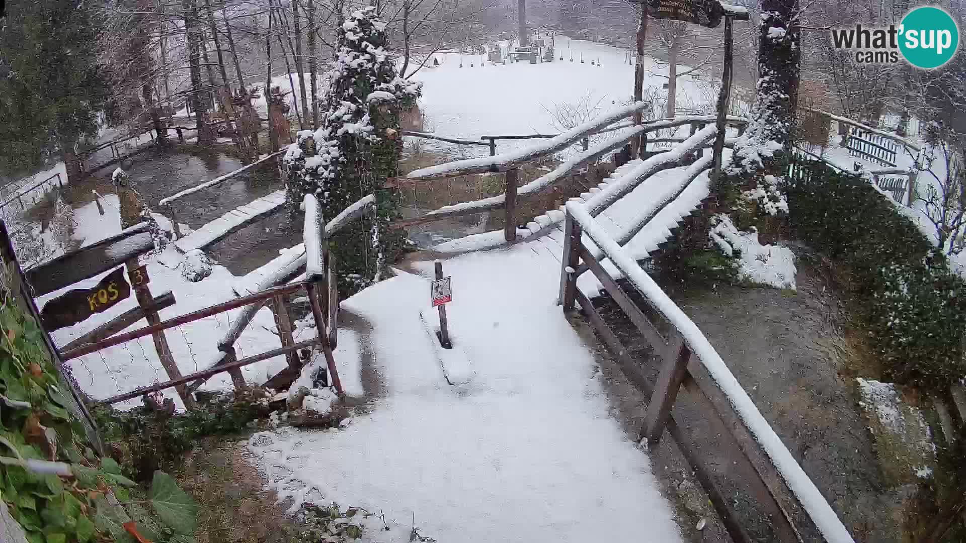 Seen auf dem Fluss Slunjčica in Rastoke