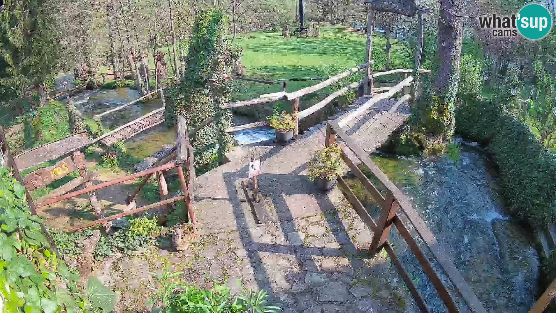 Lakes on the river Slunjčica in Rastoke