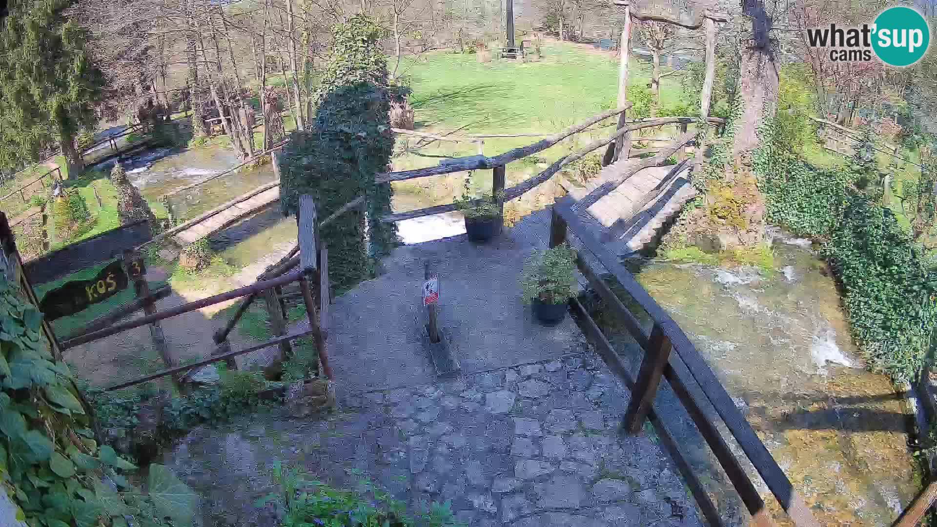 Seen auf dem Fluss Slunjčica in Rastoke