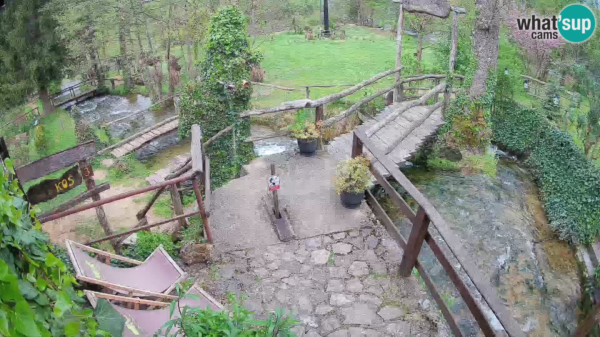 Seen auf dem Fluss Slunjčica in Rastoke