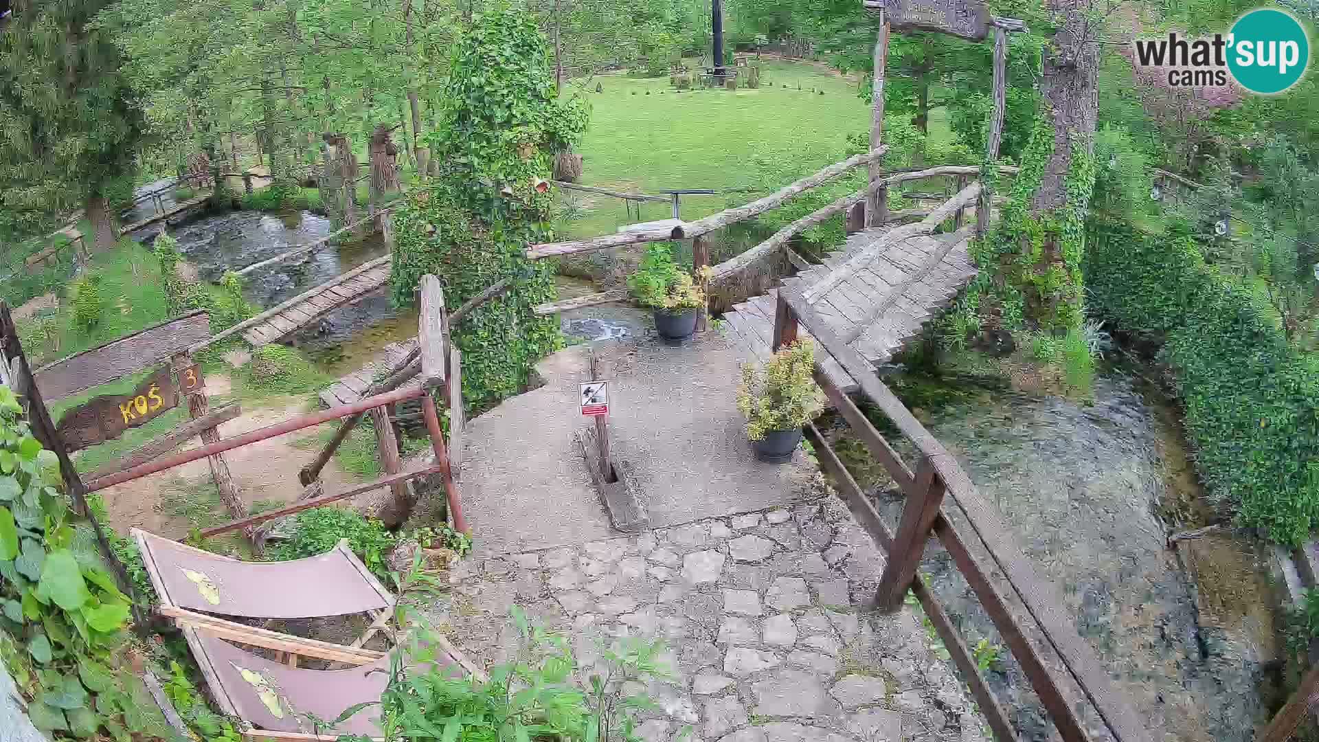 Lacs sur la rivière Slunjčica dans Rastoke