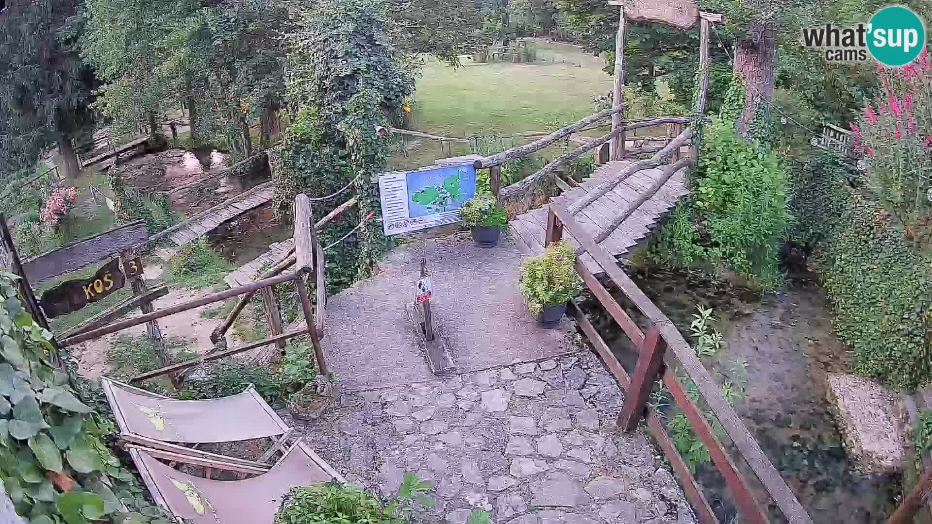 Lacs sur la rivière Slunjčica dans Rastoke