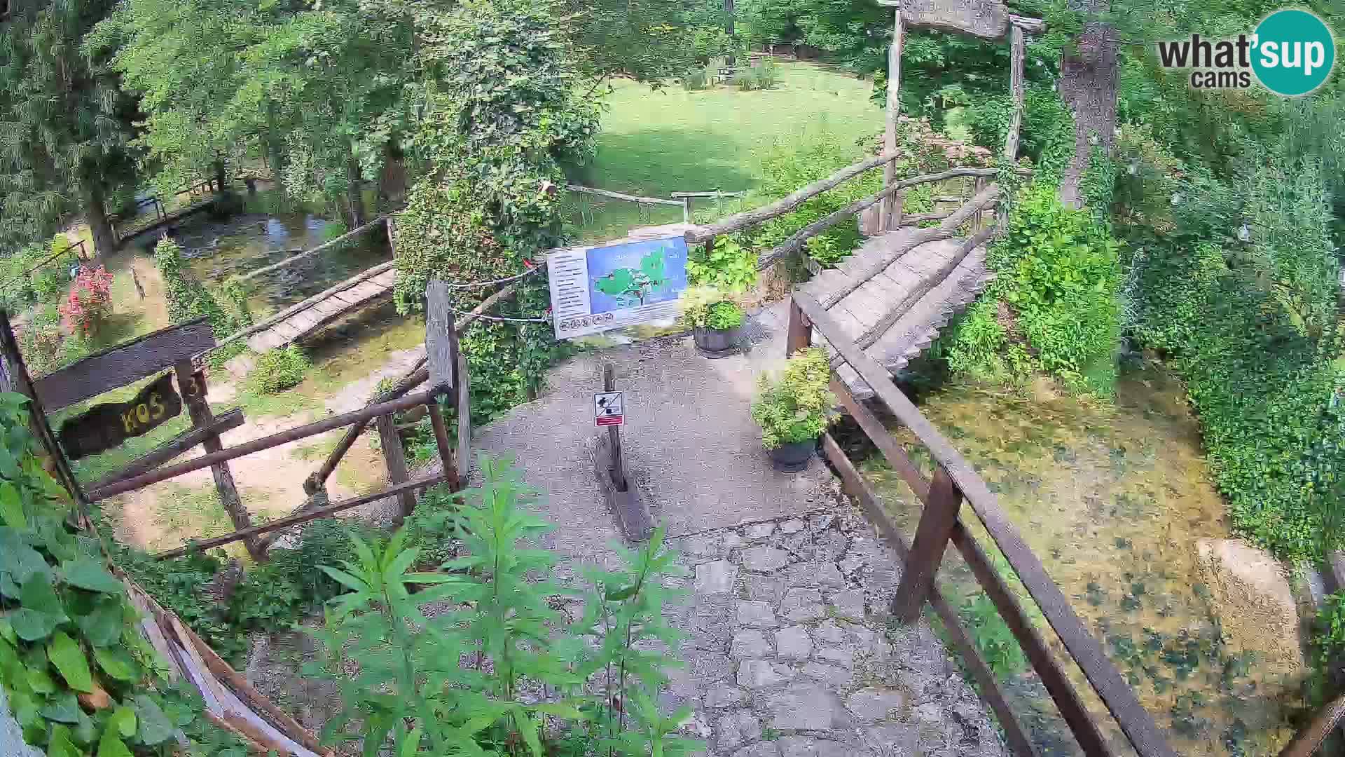 Seen auf dem Fluss Slunjčica in Rastoke