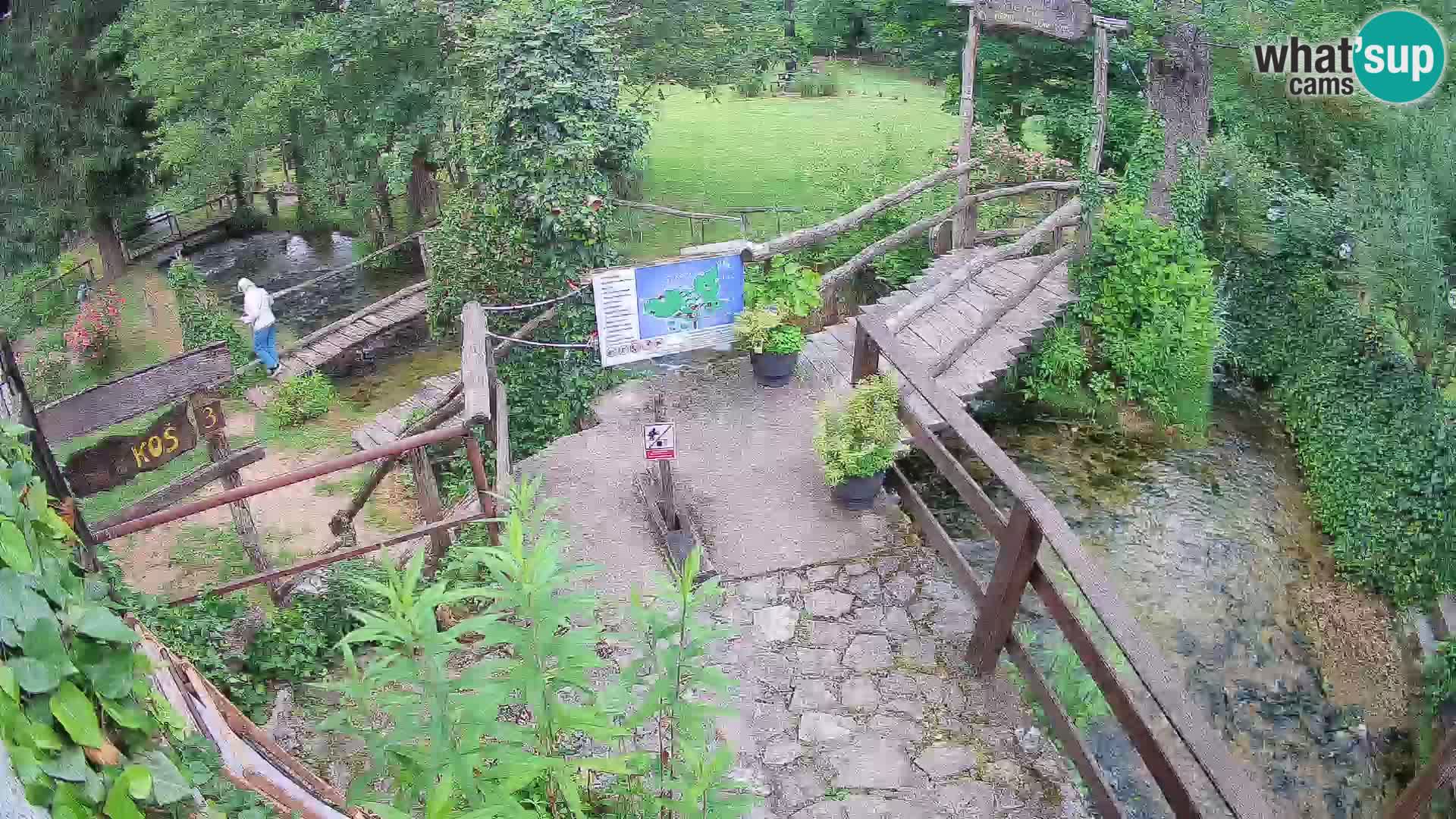 Lacs sur la rivière Slunjčica dans Rastoke