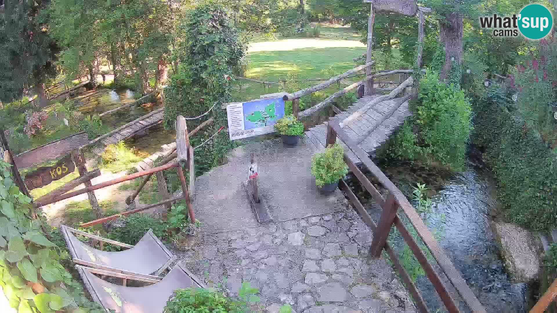Lacs sur la rivière Slunjčica dans Rastoke