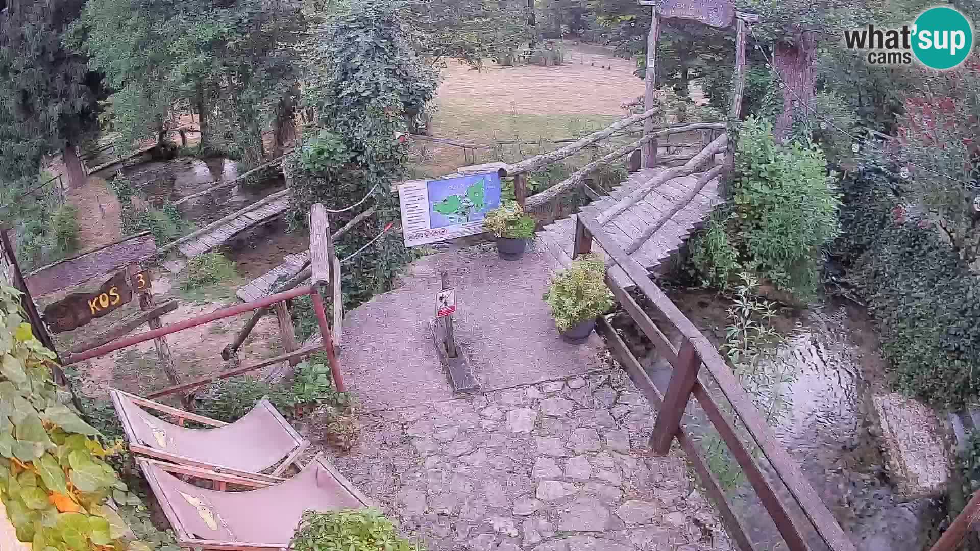 Seen auf dem Fluss Slunjčica in Rastoke