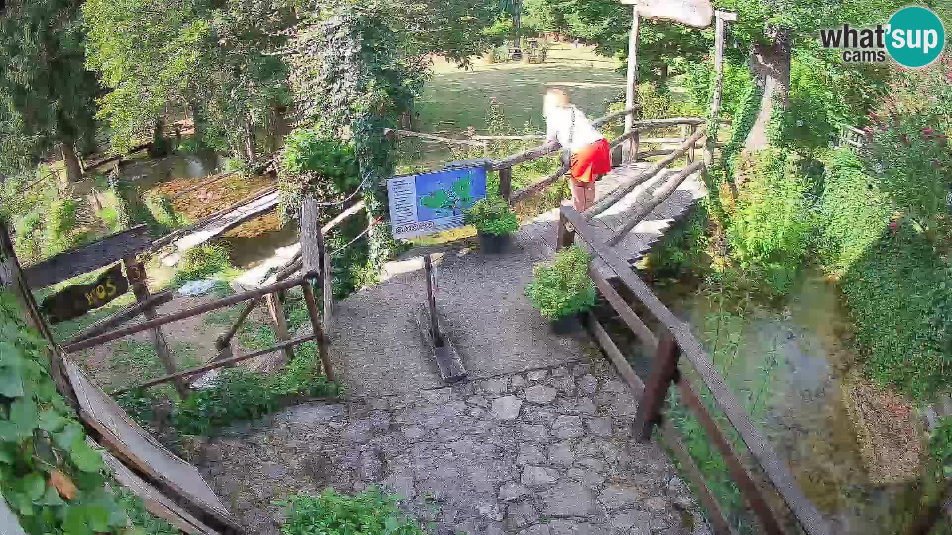Lacs sur la rivière Slunjčica dans Rastoke