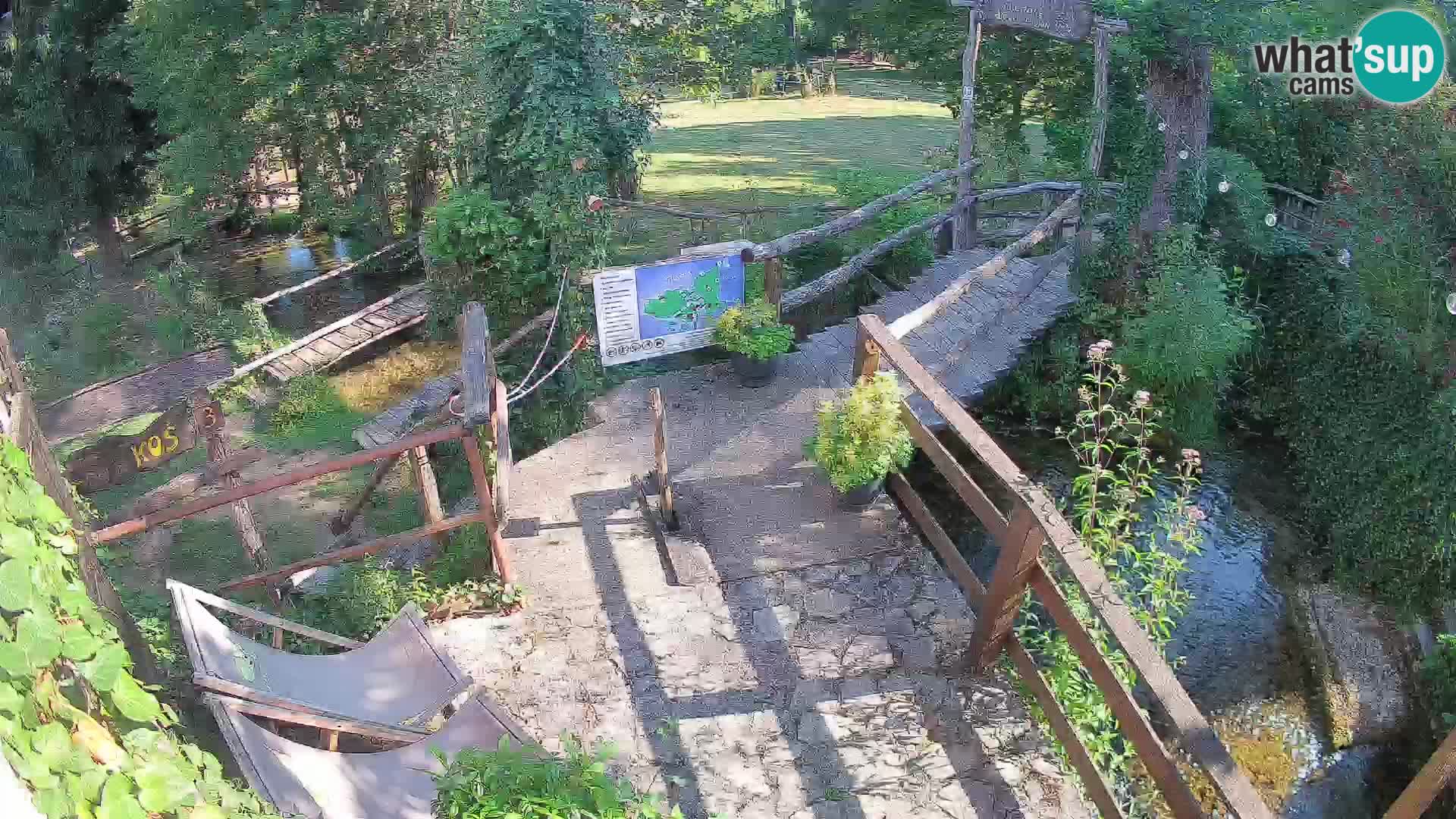 Lacs sur la rivière Slunjčica dans Rastoke