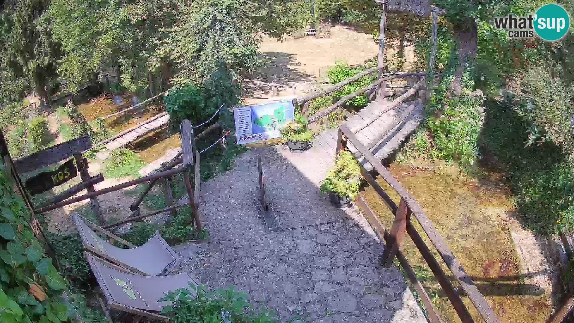 Seen auf dem Fluss Slunjčica in Rastoke