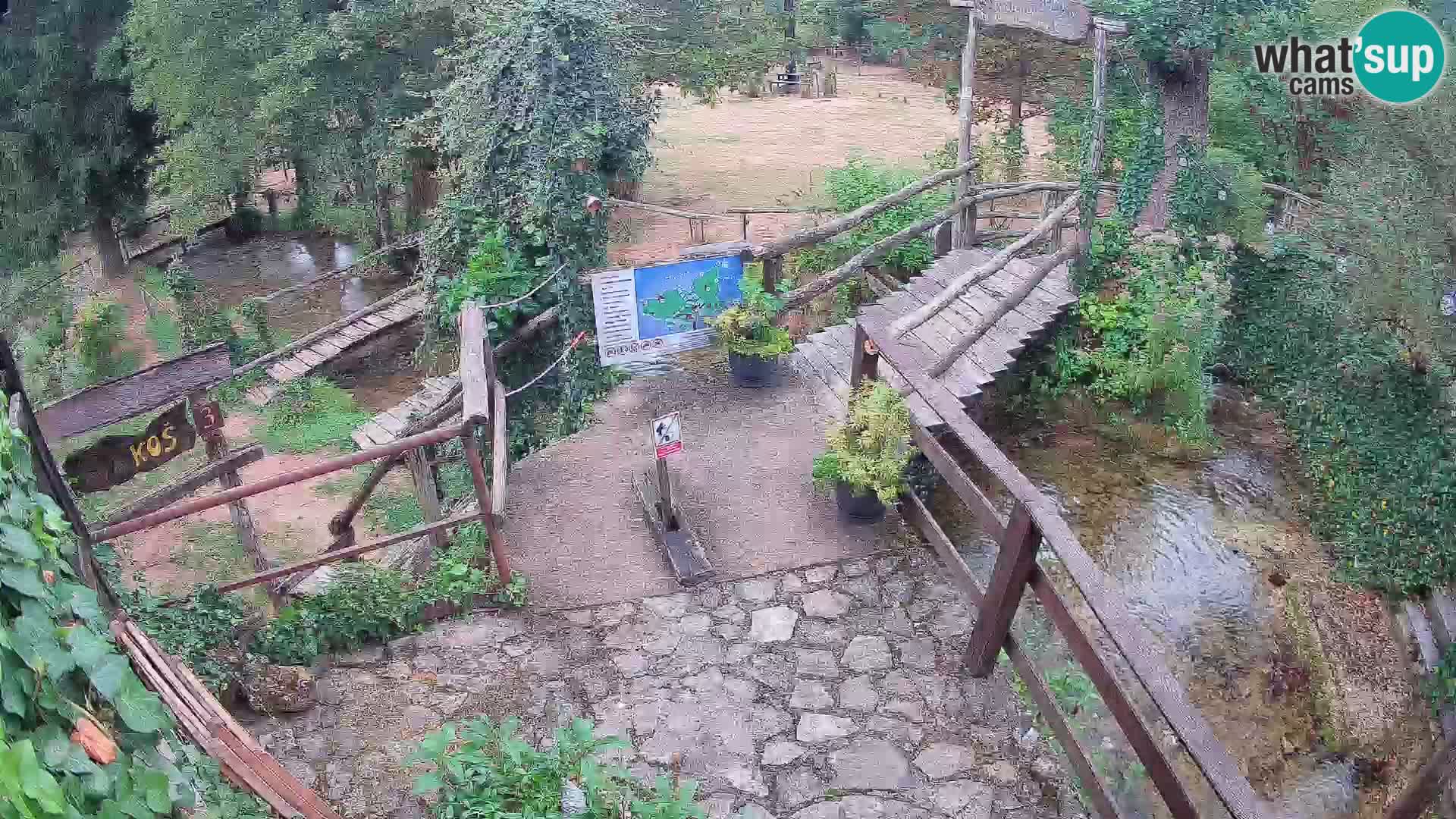 Seen auf dem Fluss Slunjčica in Rastoke