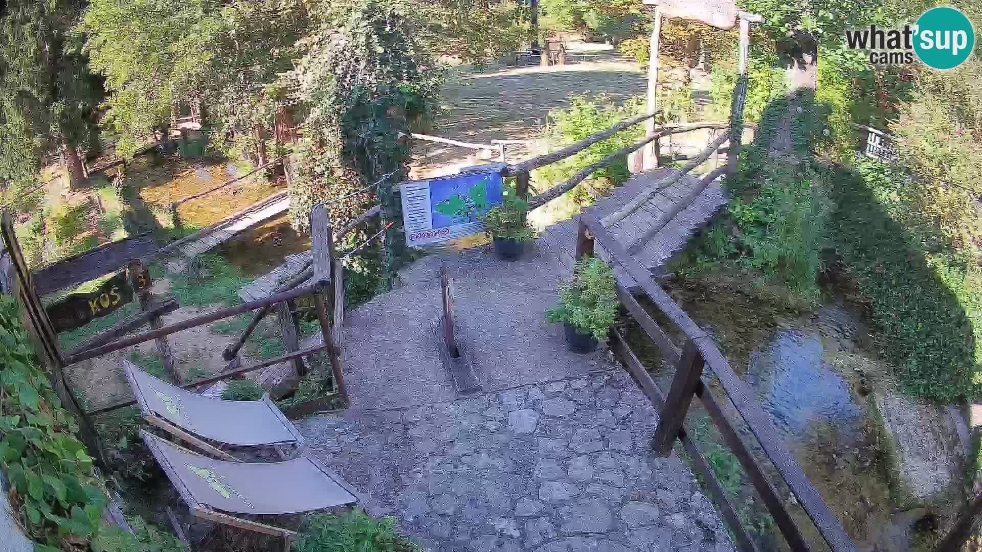 Lacs sur la rivière Slunjčica dans Rastoke
