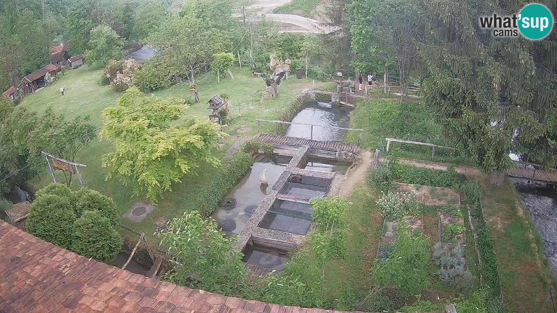 Live-Webcam Rastoke – Fluss Slunjčica – Kroatien