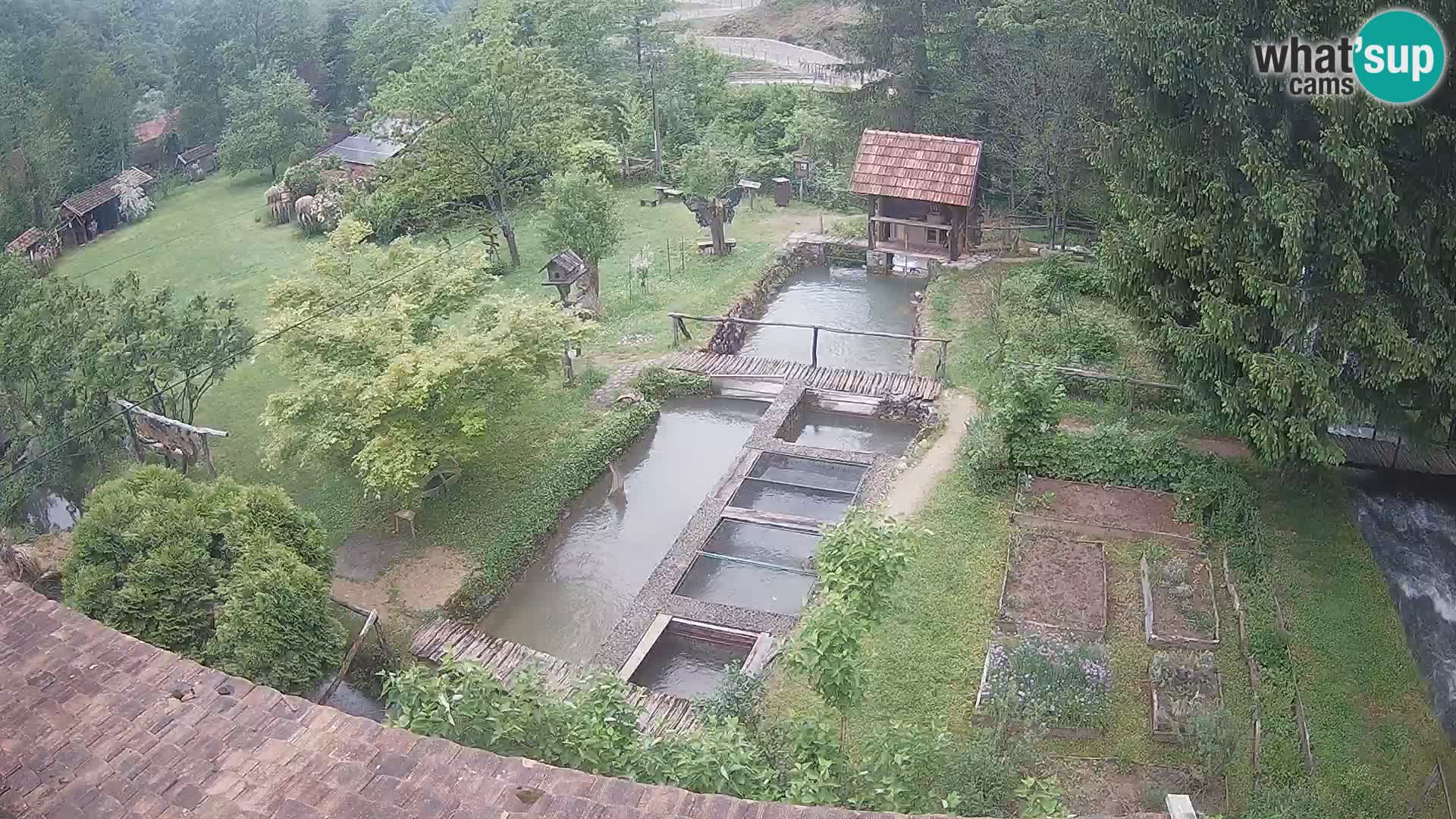 Live webcam Rastoke – fiume Slunjčica – Croazia