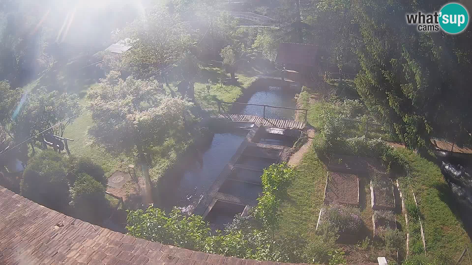 Live webcam Rastoke – river Slunjčica – Croatia