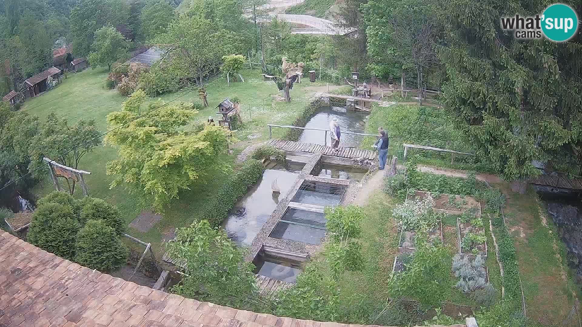 Webcam en direct Rastoke – rivière Slunjčica – Croatie