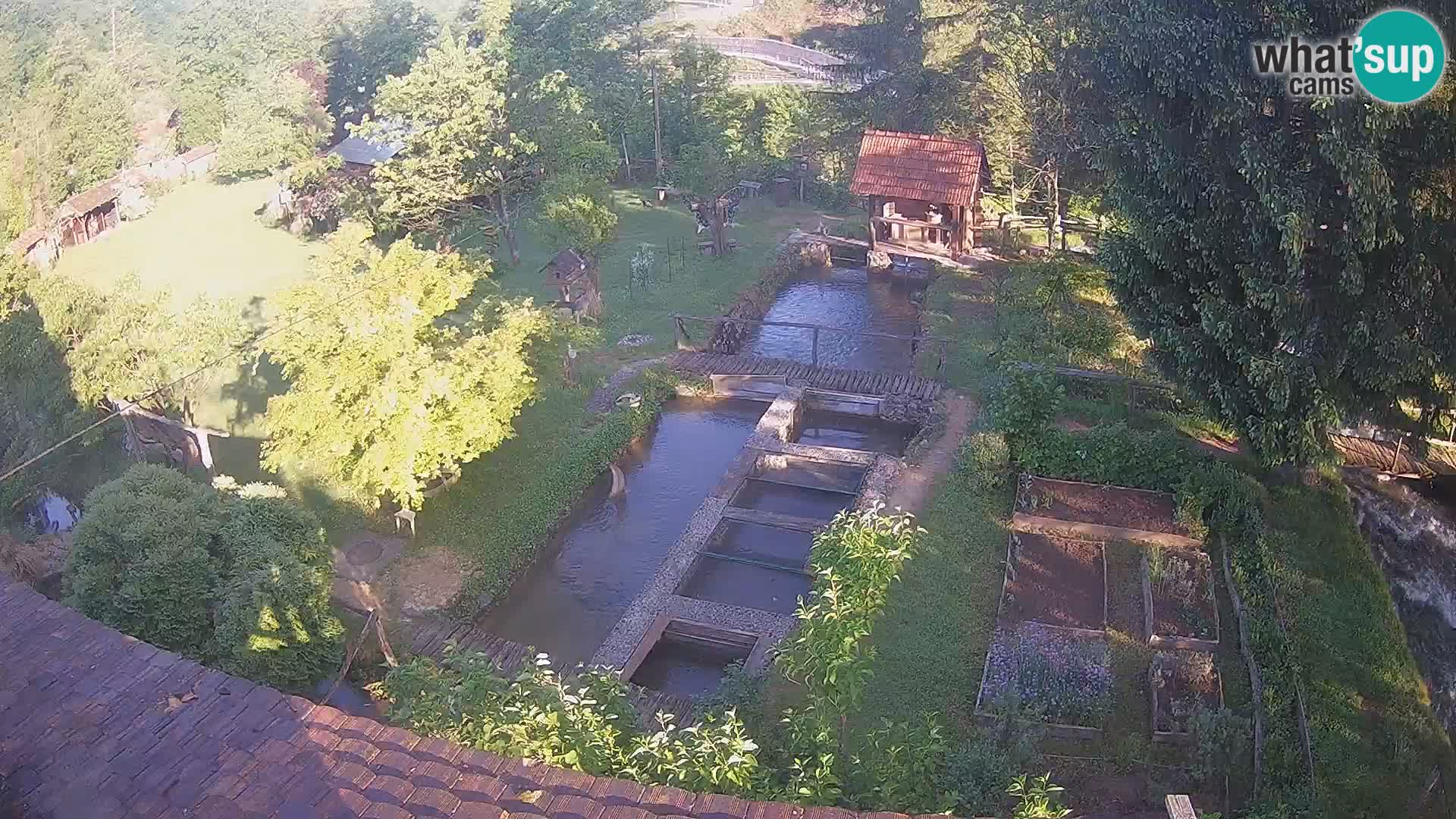 Live webcam Rastoke – river Slunjčica – Croatia