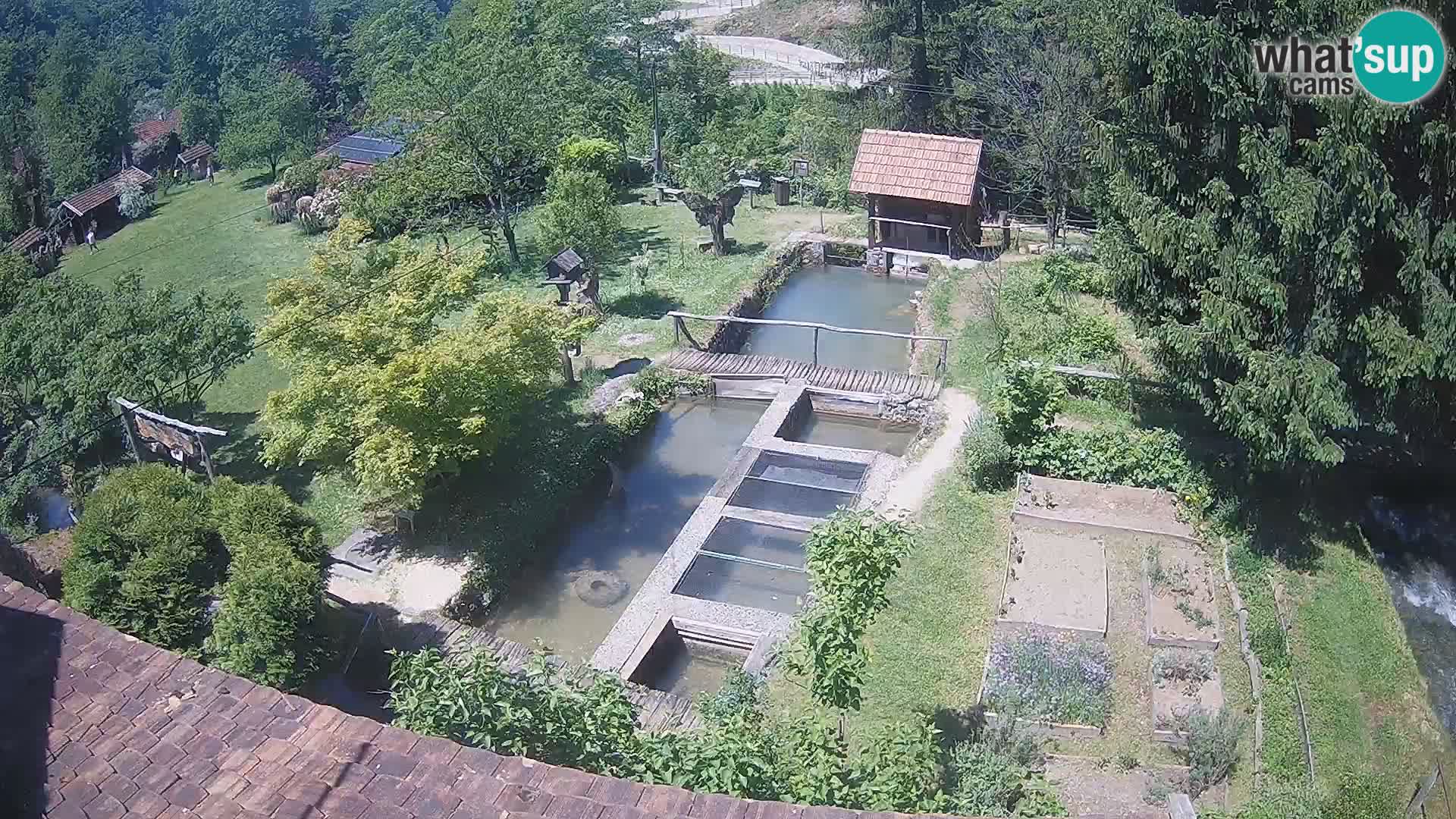 Live webcam Rastoke – river Slunjčica – Croatia
