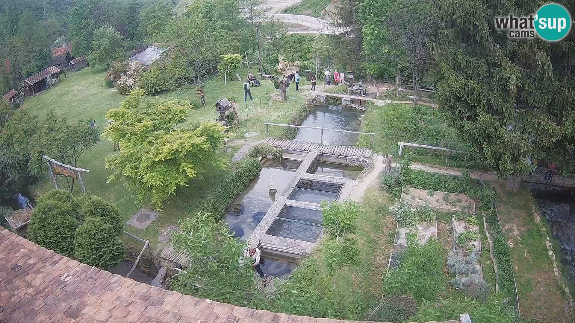 Live webcam Rastoke – river Slunjčica – Croatia