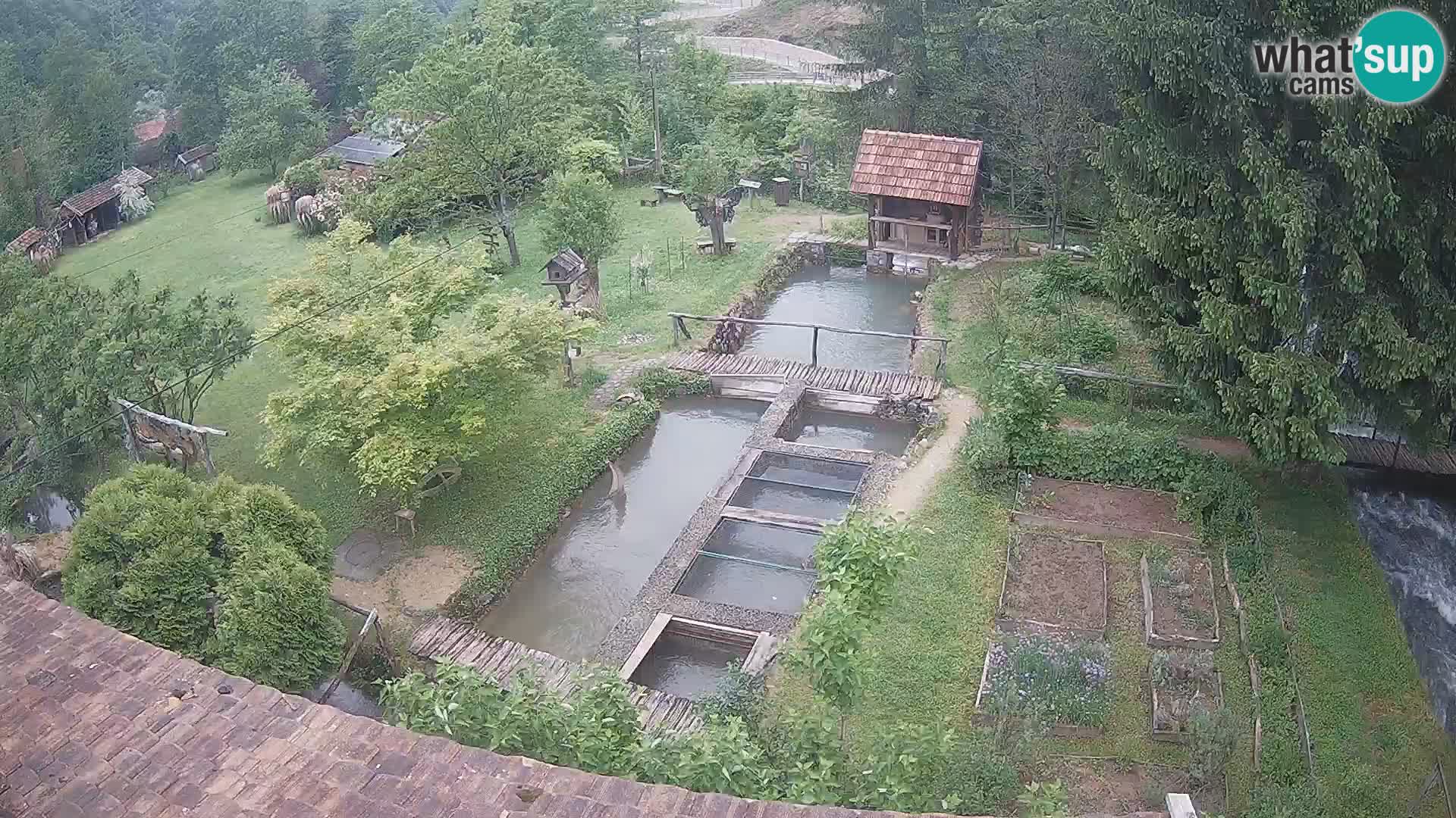 Live webcam Rastoke – river Slunjčica – Croatia