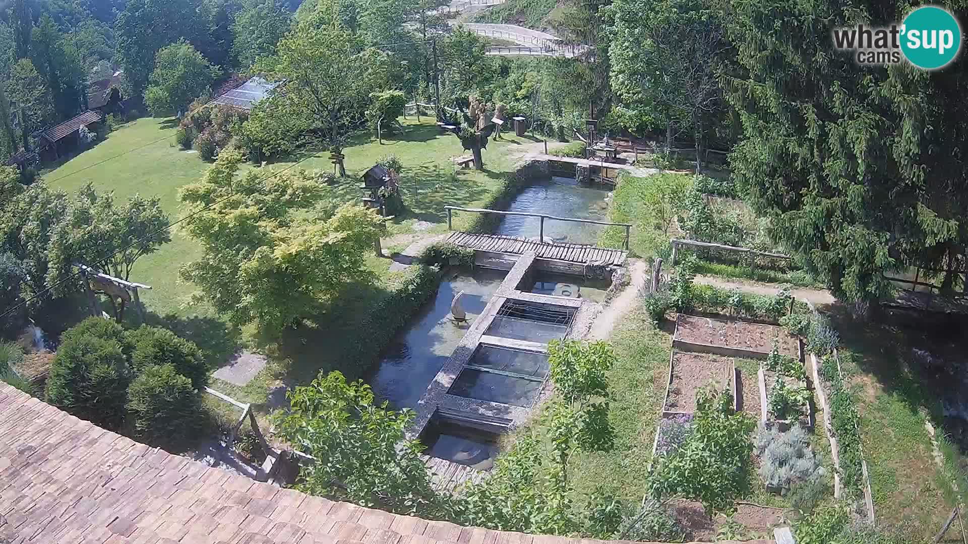 Spletna kamera v živo Rastoke – reka Slunjčica – Hrvaška