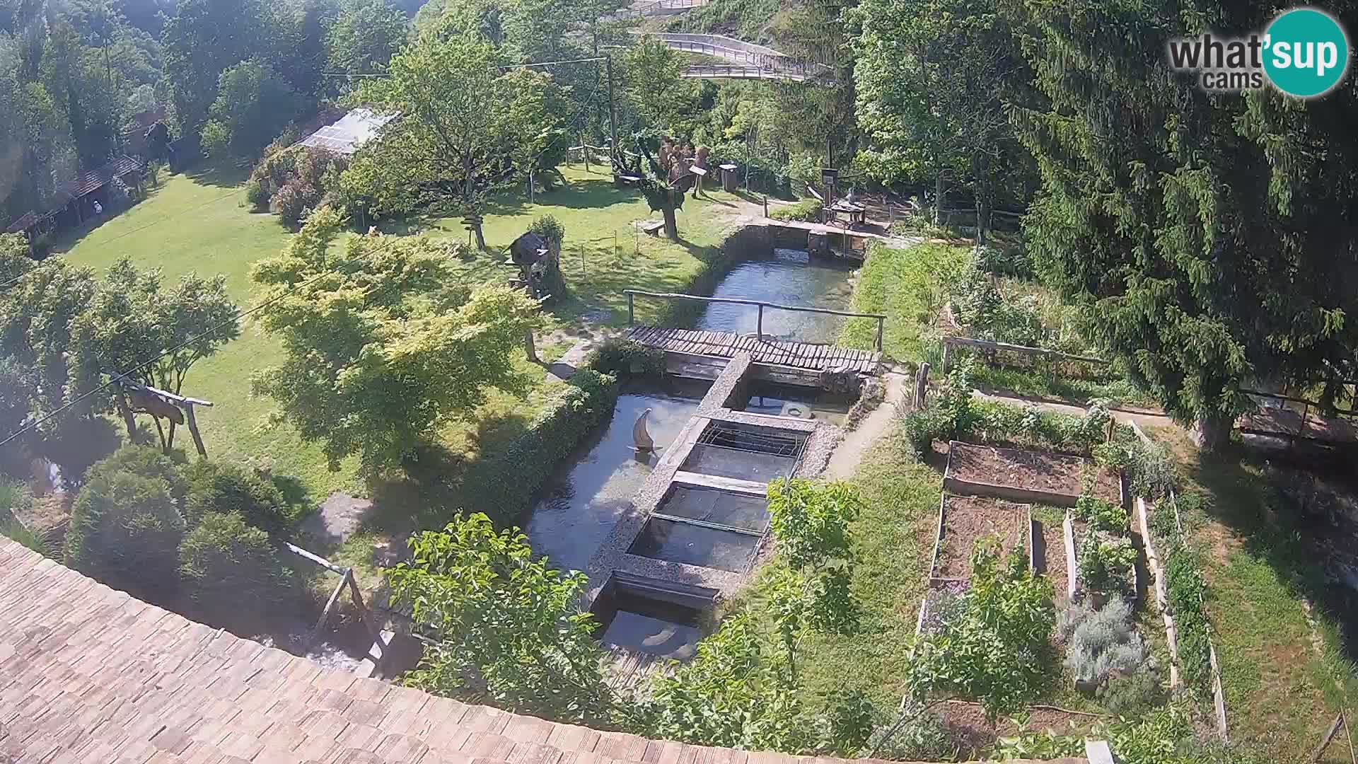 Live webcam Rastoke – river Slunjčica – Croatia
