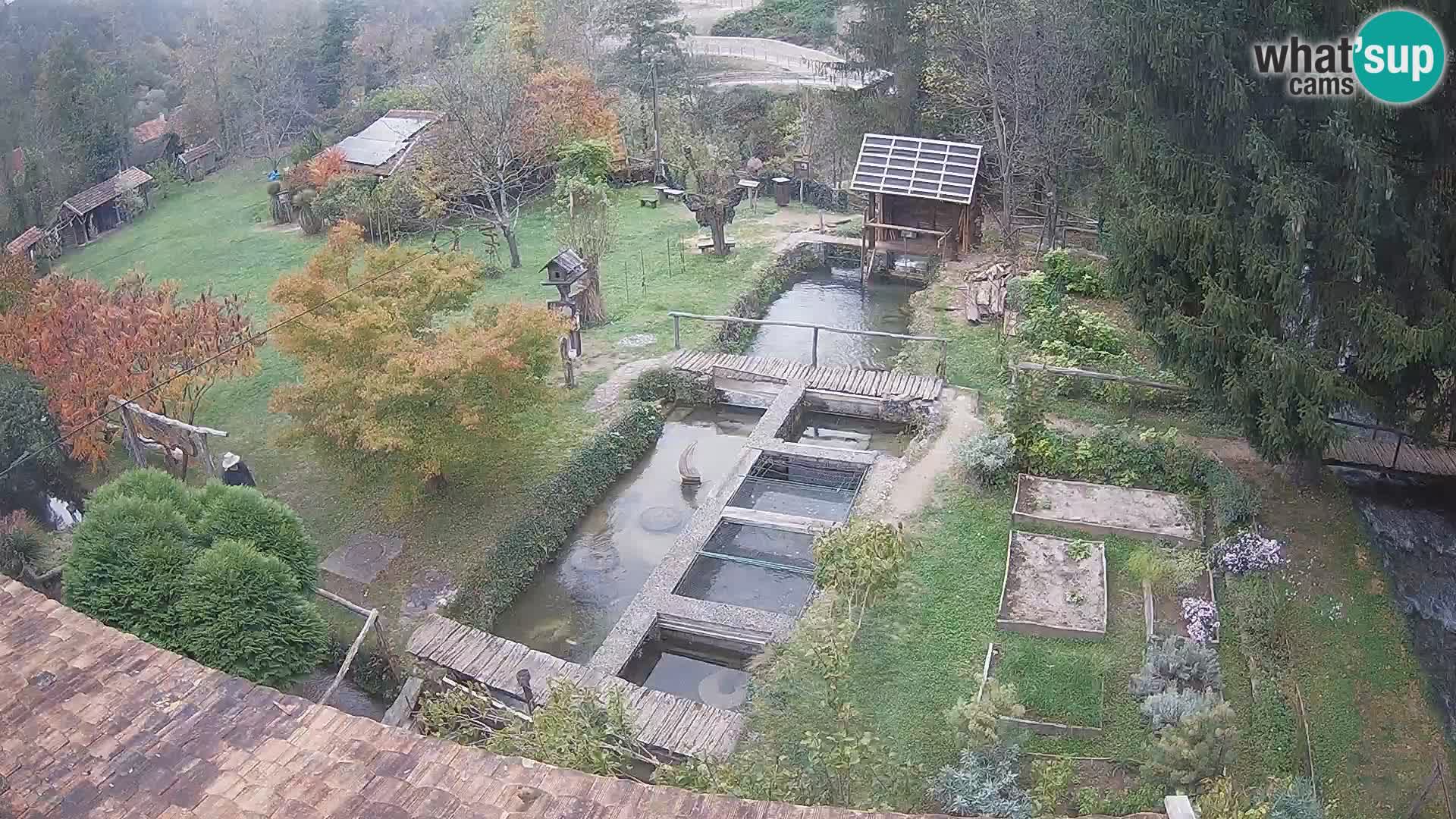 Live webcam Rastoke – river Slunjčica – Croatia