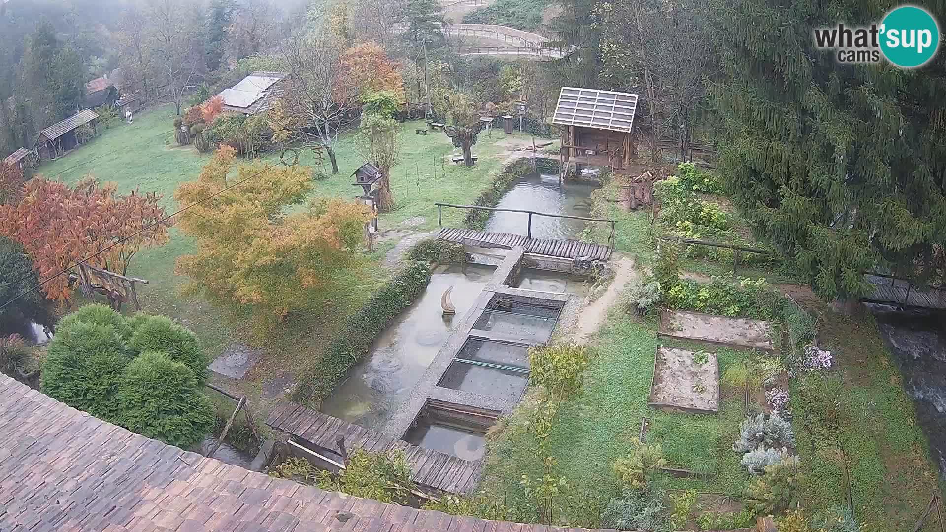 Spletna kamera v živo Rastoke – reka Slunjčica – Hrvaška