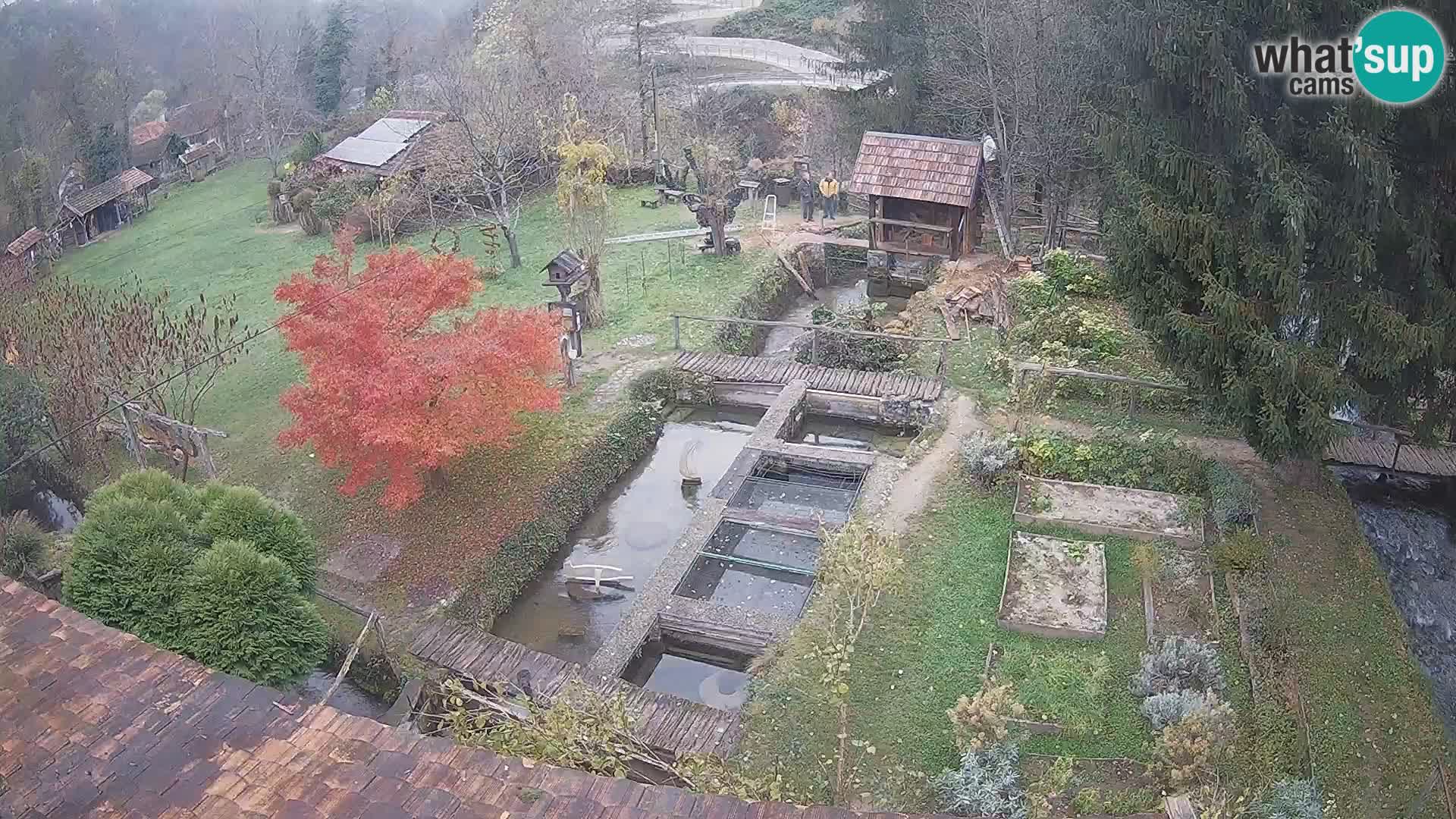 Spletna kamera v živo Rastoke – reka Slunjčica – Hrvaška