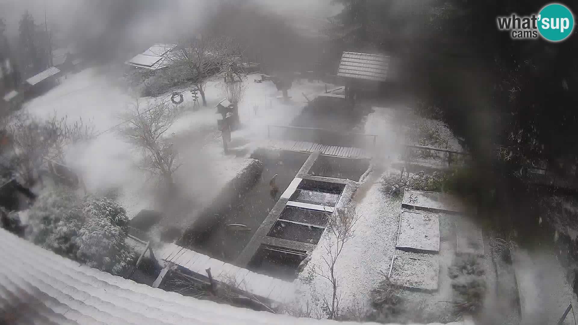 Live-Webcam Rastoke – Fluss Slunjčica – Kroatien