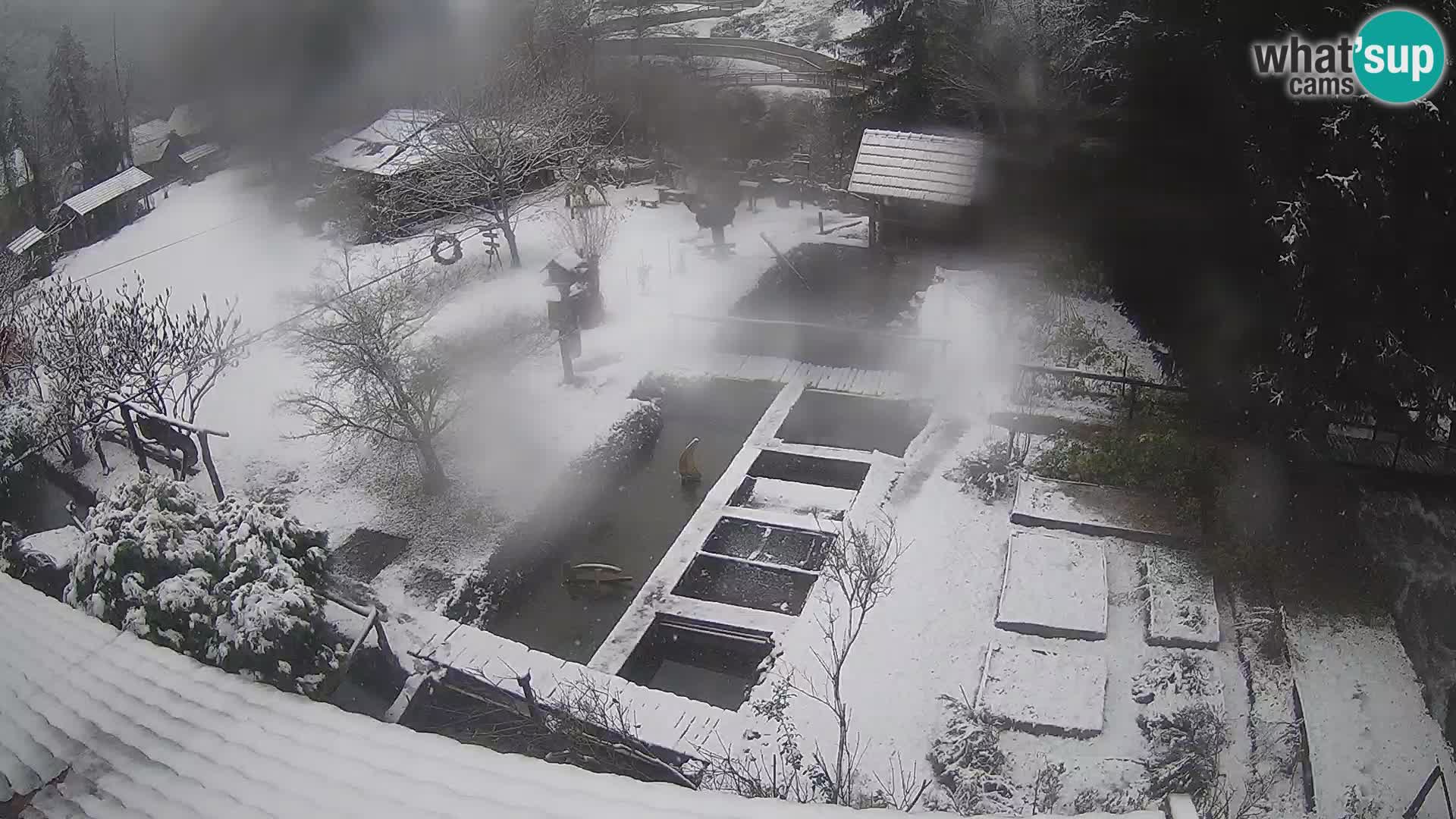 Live-Webcam Rastoke – Fluss Slunjčica – Kroatien