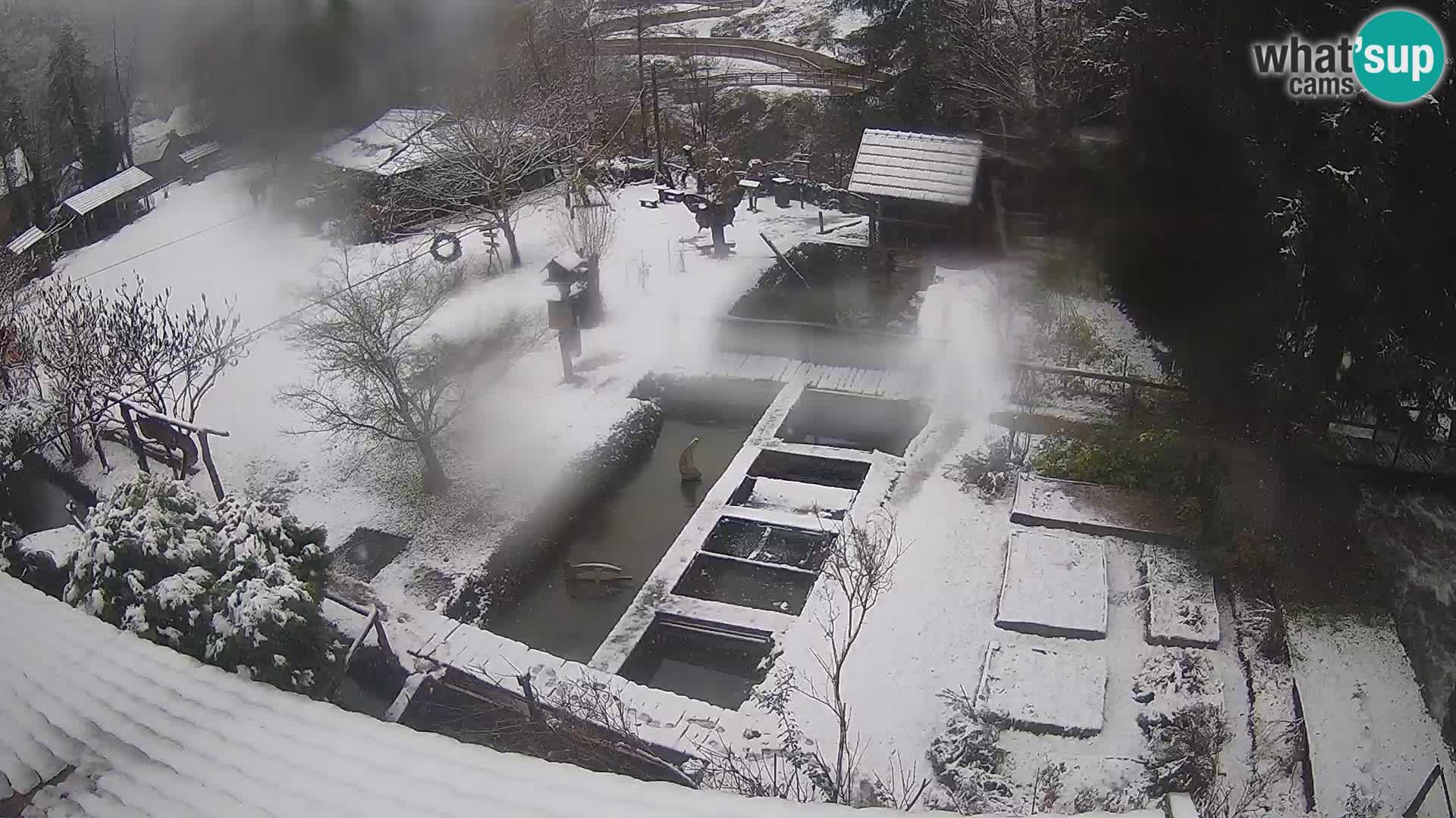 Live webcam Rastoke – fiume Slunjčica – Croazia