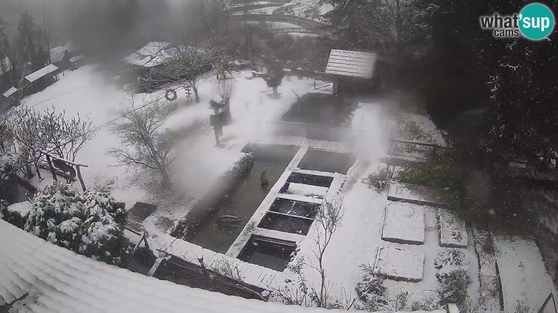 Live-Webcam Rastoke – Fluss Slunjčica – Kroatien