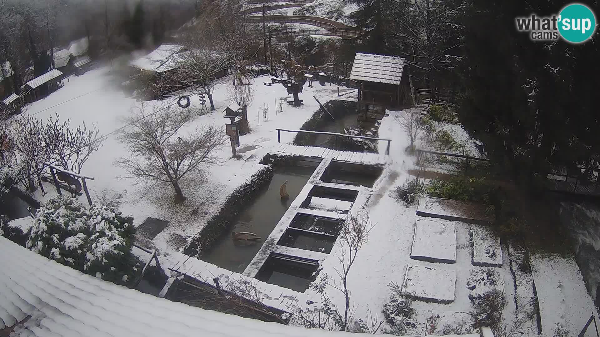 Cámara web en vivo Rastoke – río Slunjčica – Croacia